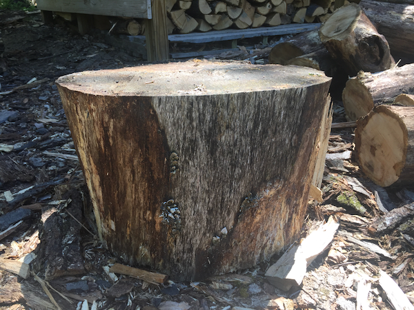 Firewood Splitting Block - Make Your Own