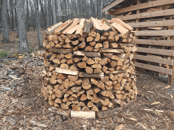 1 Ton of Firewood in my Backyard - Almost 1000 Wood Layers 